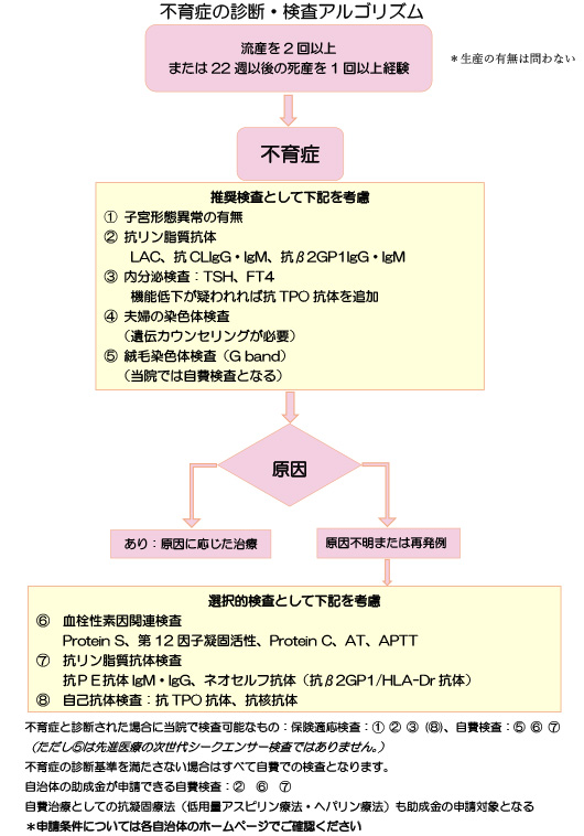 不育症の診断・検査アルゴリズム
